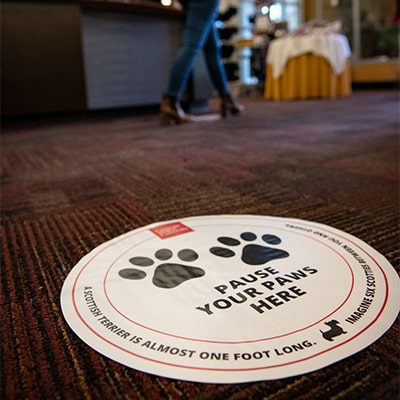“Pause Your Paws” decals at CMU-SV